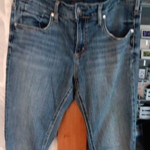 Silver Jeans Light Blue Girlfriend Jeans Label